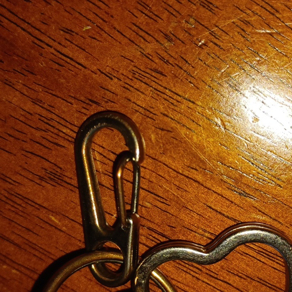 Coach Key Chain - image 5